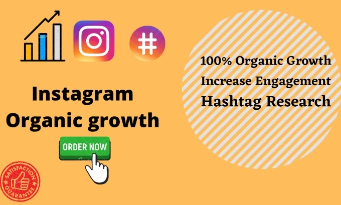 How to Gain Followers on Instagram: A Guide to Increasing Your Reach